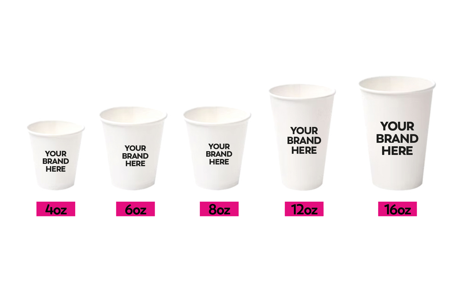 Single Wall Paper Cups 4oz 6oz 8oz 12oz 16oz